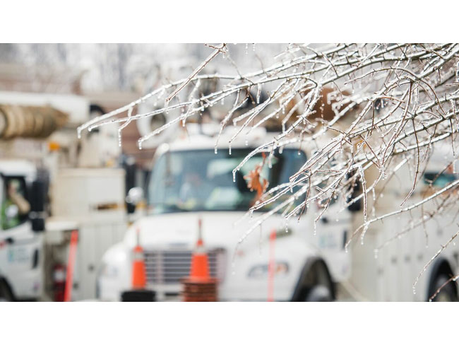 Ice on branches of a tree with work trucks in the background.
