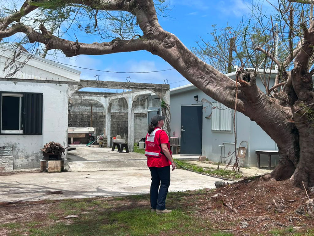 Red Cross volunteer Caroline Scudder looking at a damaged tree next to a house.