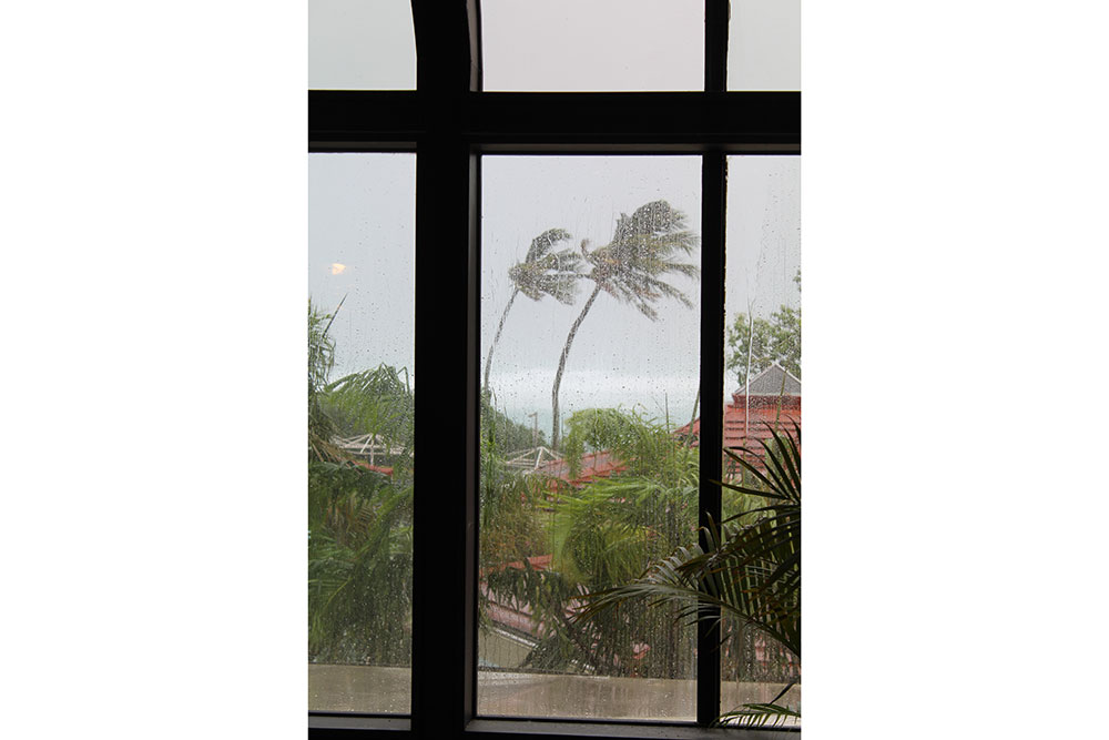 View through a rain-specked window shows two palm trees swaying in the wind against a gray sky.