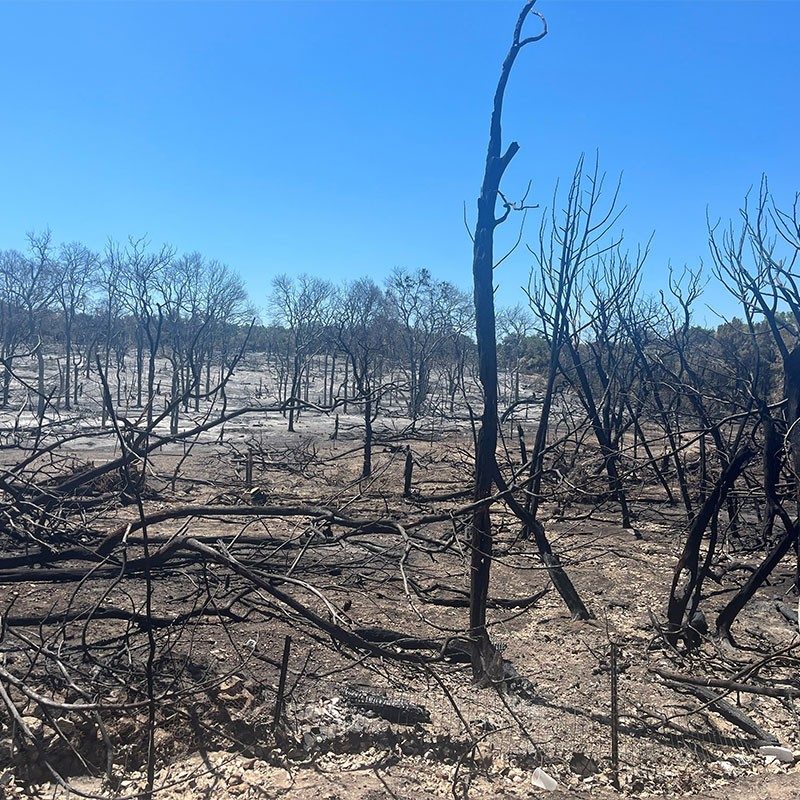 Cedar Park wildfire damage.