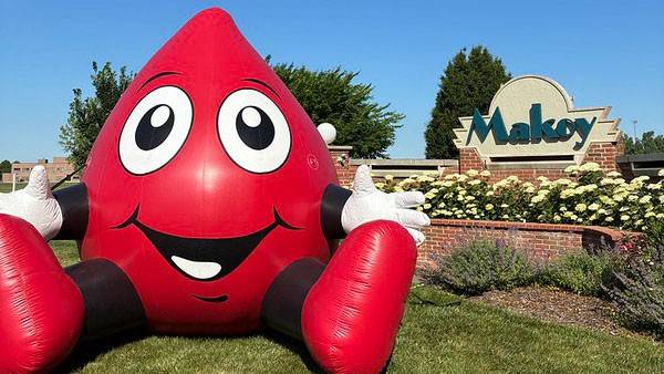 Rodney the red cell mascot, that's shaped like a blood drop, sitting on grass in front of a Makoy sign.