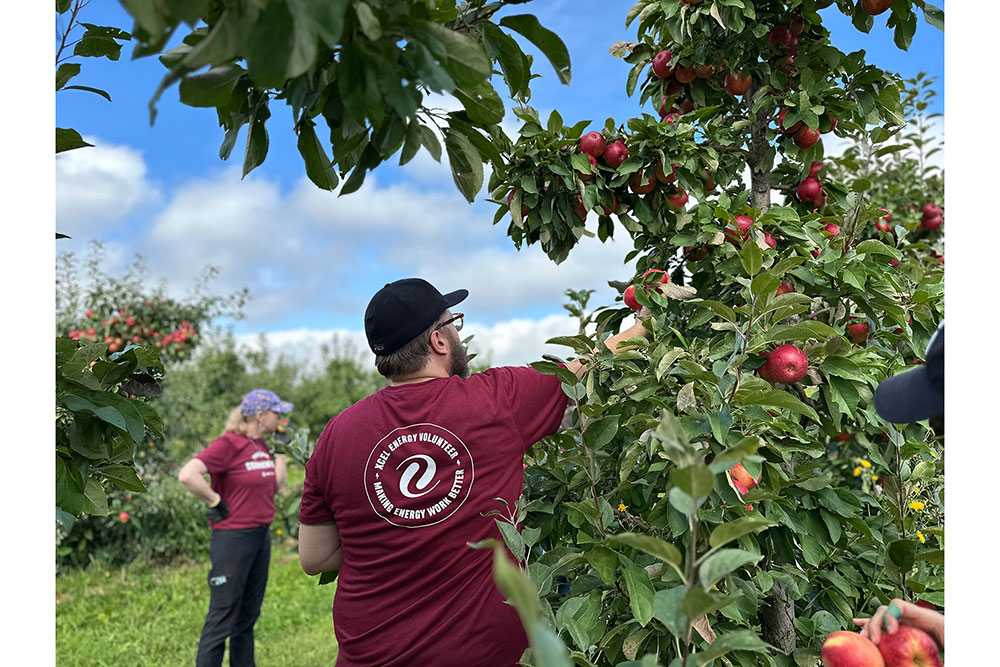 Two people in maroon shirts pick red apples from lush green trees in an orchard. The sky is blue with scattered clouds.
