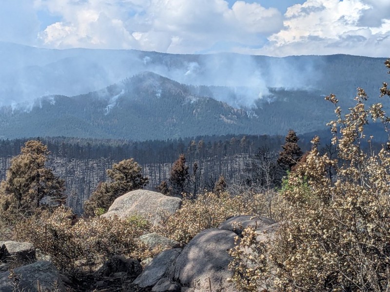 Smoke rises from behind trees on a far mountainside