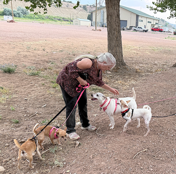 A woman walking her dogs outside