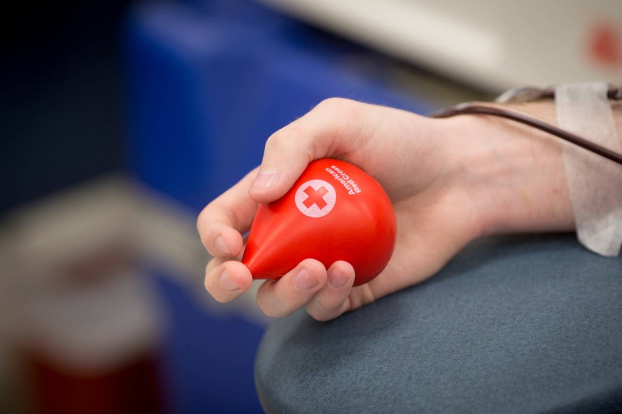 April 12, 2018.Fairfax, VirginiaFairfax Blood Donation CenterBlood DonationPictured: American Red Cross blood donor sponge ball Blood donor squeezes an American Red Cross sponge ball while dontating blood at the Fairfax, Virginia Blood Donation Center.Photo by Michelle Frankfurter for the American Red Cross.