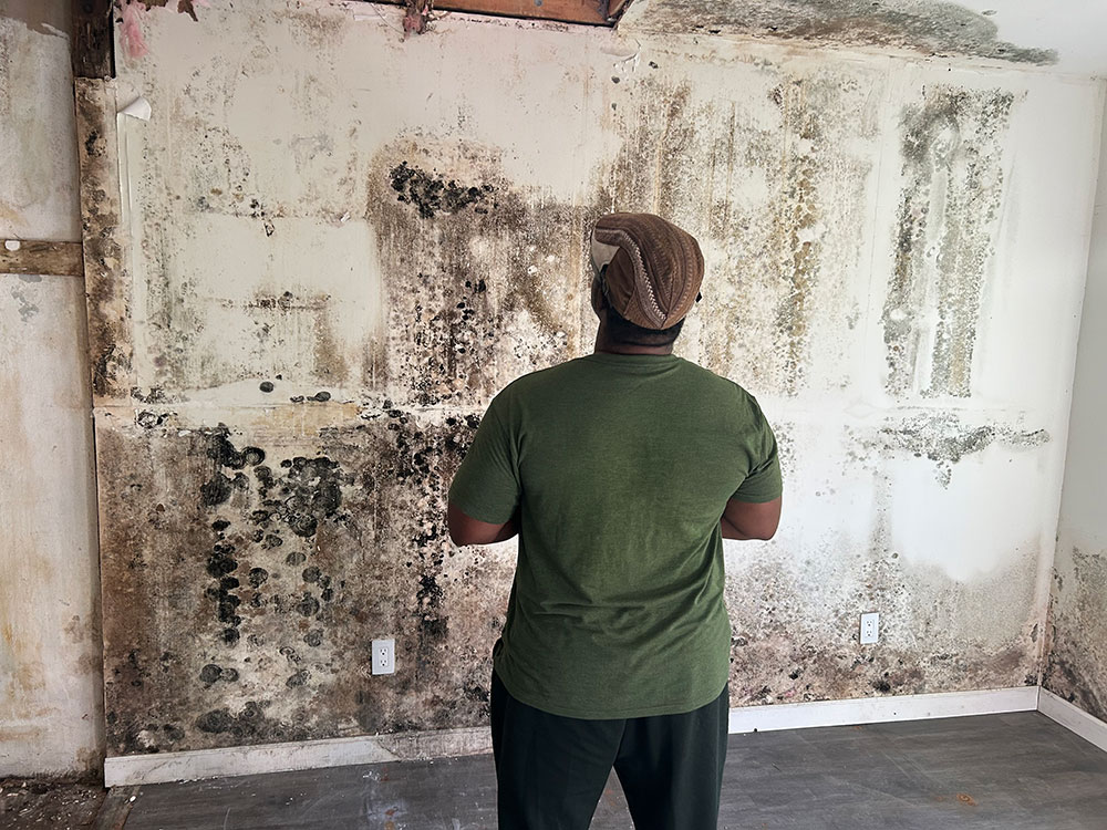 person looking at wall that is covered in black mold.