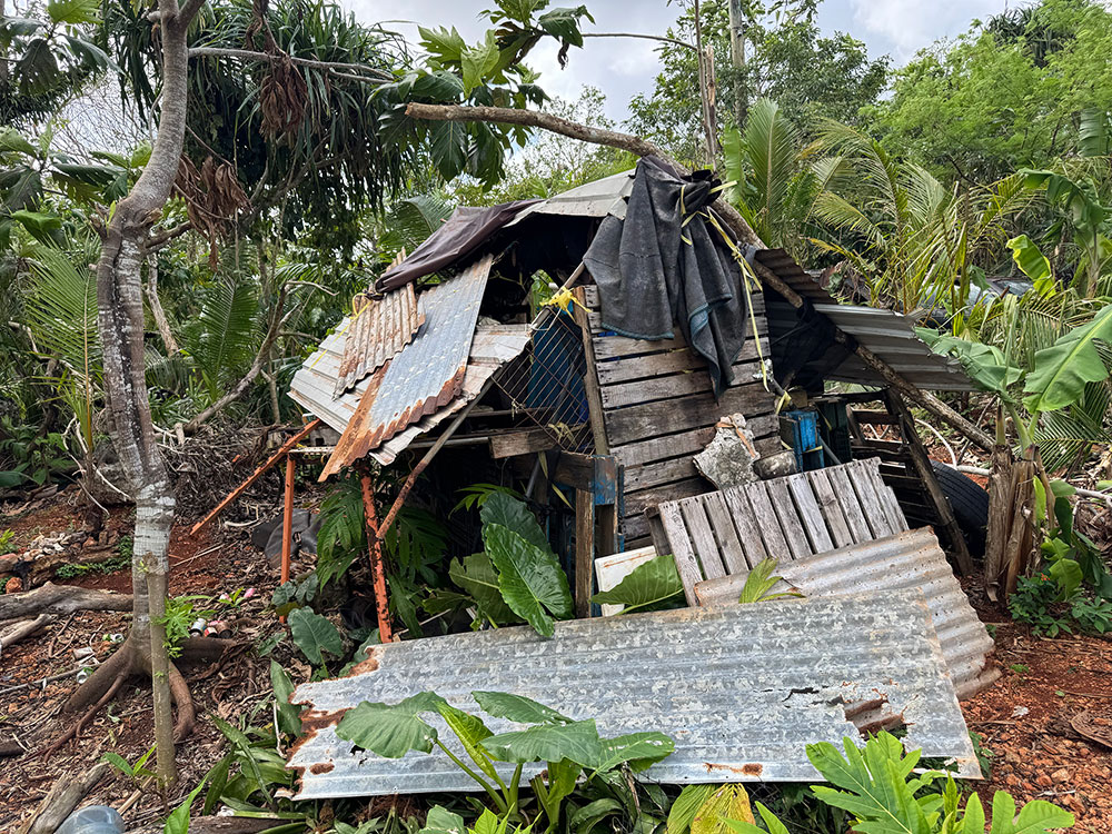 a shack in the jungle.