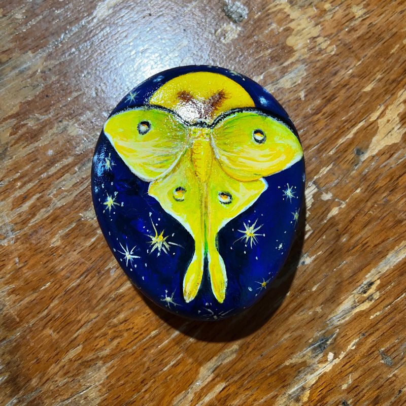 small painted round rock with butterfly