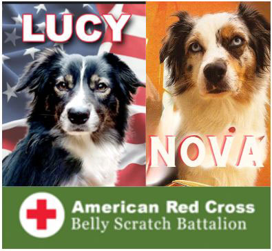 American Red Cross Belly Scratch Battalion ad with picture of service dogs Lucy and Nova.