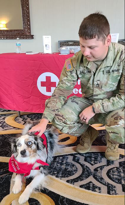 A military member petting service dog Nova at a Red Cross event.