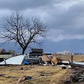 Destroyed home with big tree next to rubble.