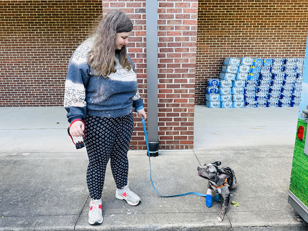 person holding leash with dog that has a cast on front paw.