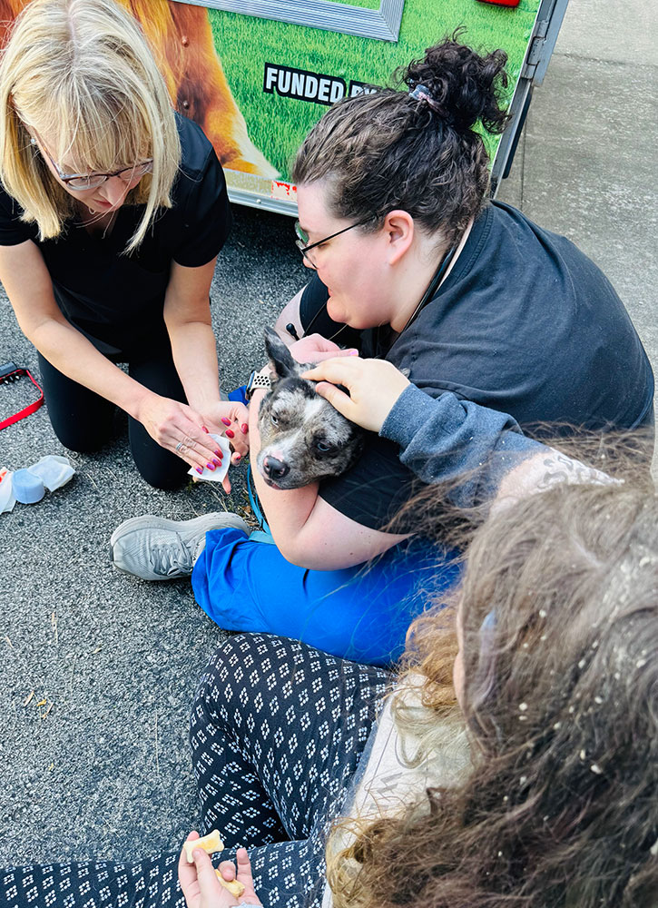three people sitting on the ground tending to a distressed dog.