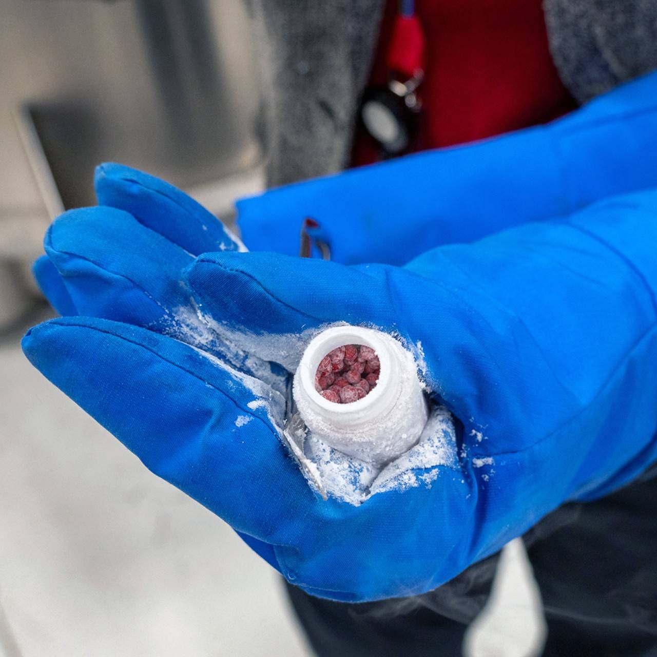 karen rodberg holds red blood droplets frozen in nitrogen