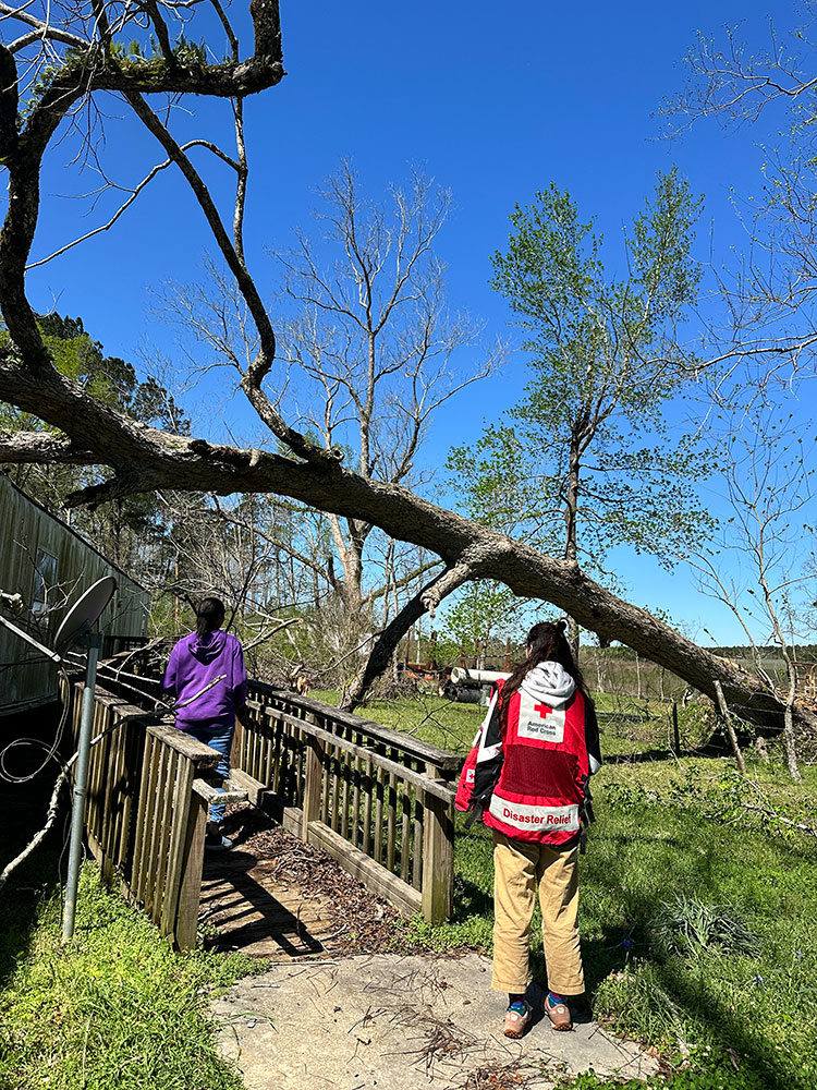 Cynthia Boykins and a Red Cross volunteer next to a fallen tree.