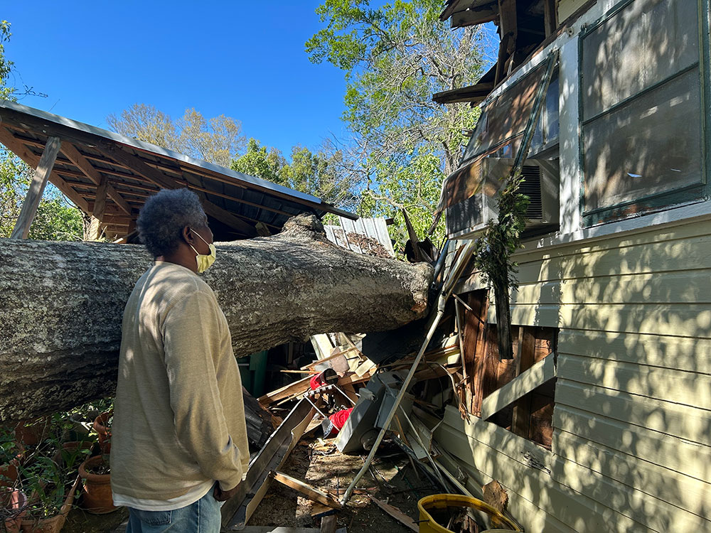 Ellis Neal standing next to a big tree that has fallen on his house.