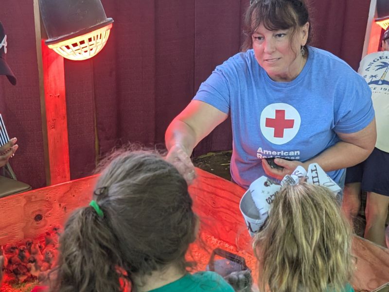 volunteers helping children in exhibit