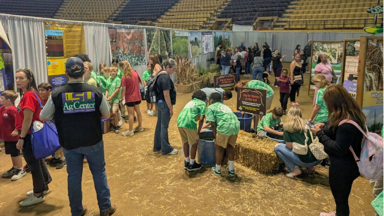 children in agriculture exhibit