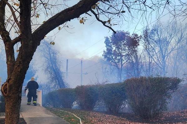 Firefighter walking on a sidewalk next to a forest with smoke rising in the air.