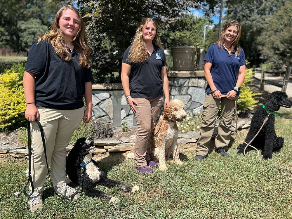 Three Highland Canine staff members each holding a dog on a leash on a grassy lawn.