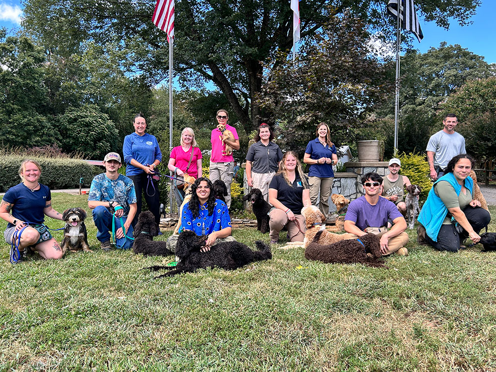 Group pic of thirteen Highland Canine staff members each holding a dog on a leash on a grassy lawn.