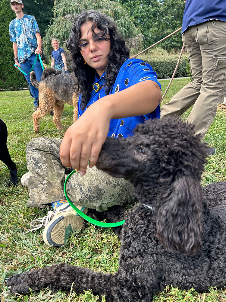 Highland Canine staff sitting down with support pup on a grassy field.
