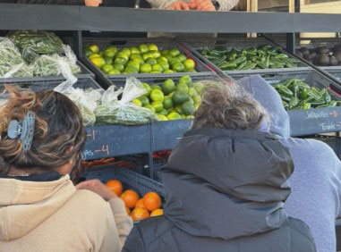 people next to bins with fresh fruits and vegetables.