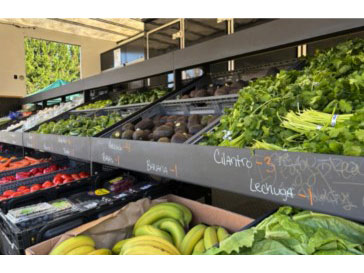 fresh fruits and vegetables in bins.