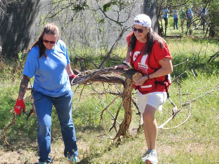 Red Cross volunteers moving cut tree branches.