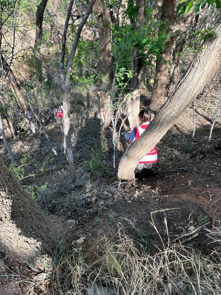 Red Cross volunteers on hill with trees.