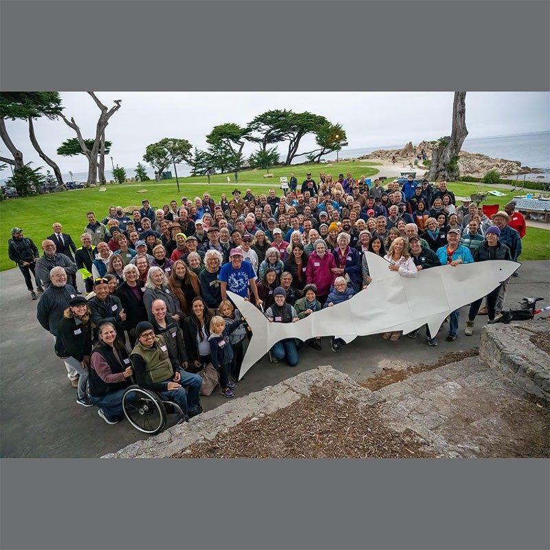 Group photo with front row holding paper shark.