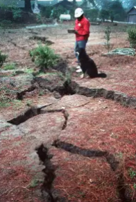 Red Cross worker surveys the damage in Santa Cruz