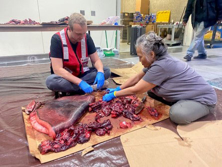 shelter resident and red cross volunteer sitting on the ground doing a seal carving.