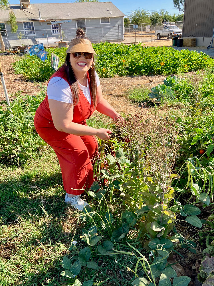 Margarita Moreno wearing a sun visor and sunglasses while picking tomatoes in a garden.