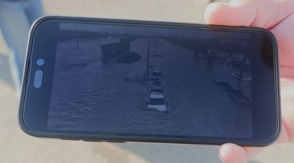 Hand holding a cell phone