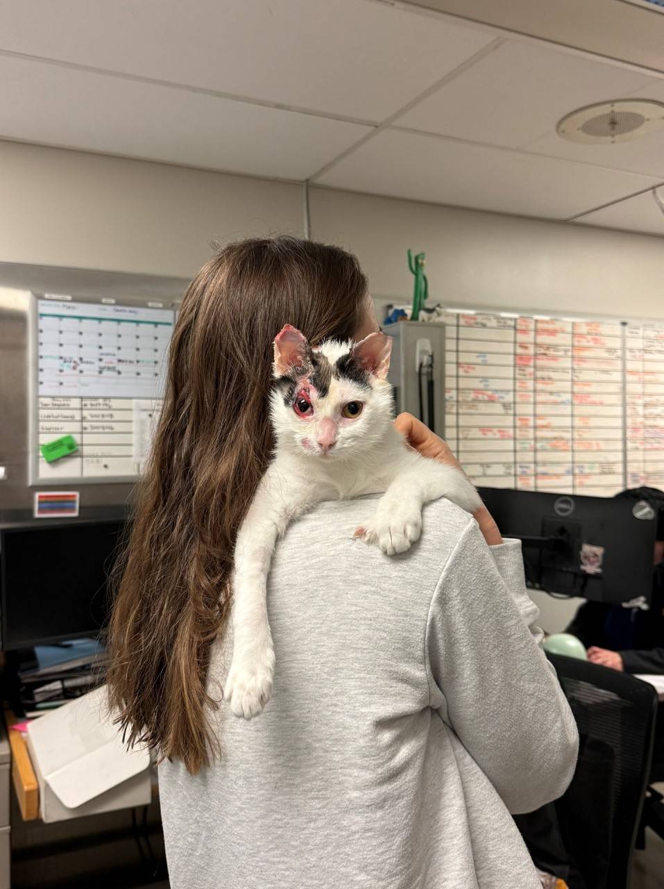 Jessica holding a cat.