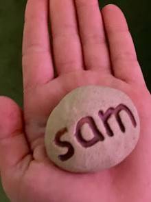 Sam Cohen rock