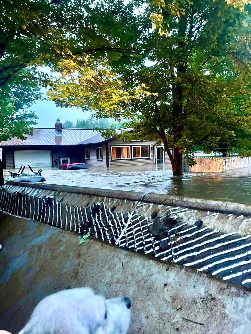 A flooded house with trees and a building