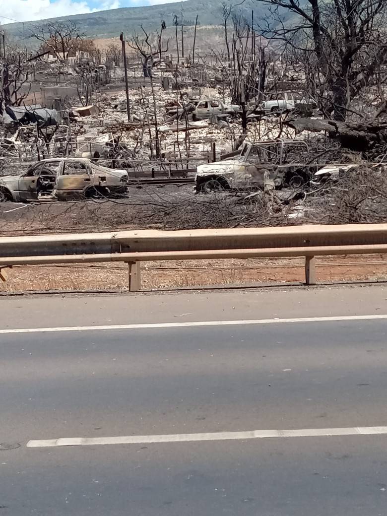 Maui wildfire destrction with burnt trees and cars