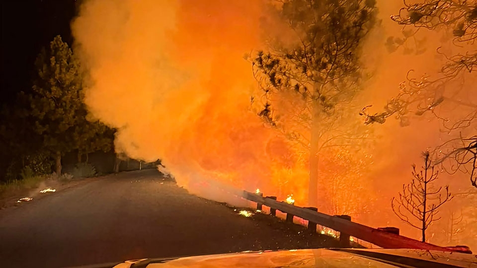looking out the front window of a vehicle at tree high flames from a forest fire at night.