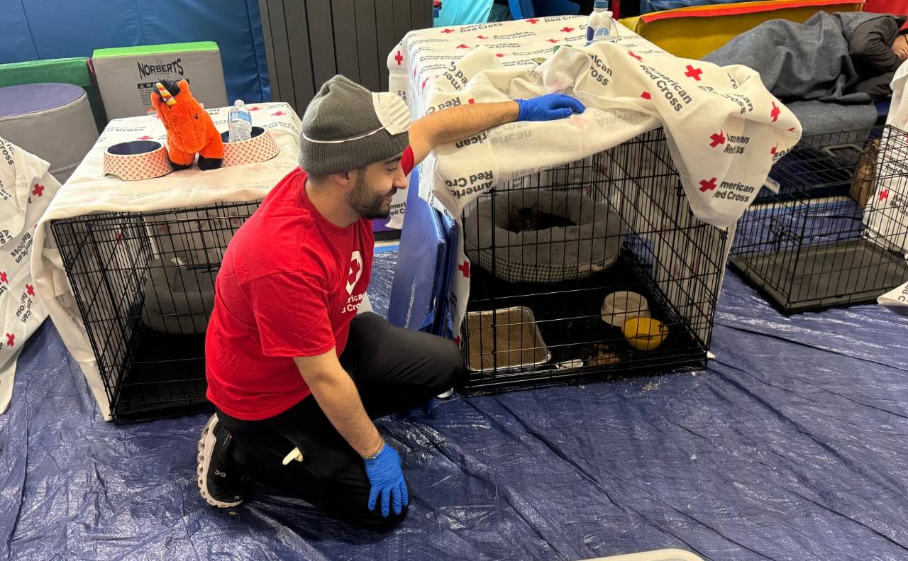 Volunteer Yazen Alnehmi
