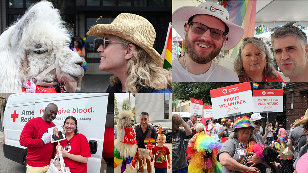 picture collage of people in the pride parade.
