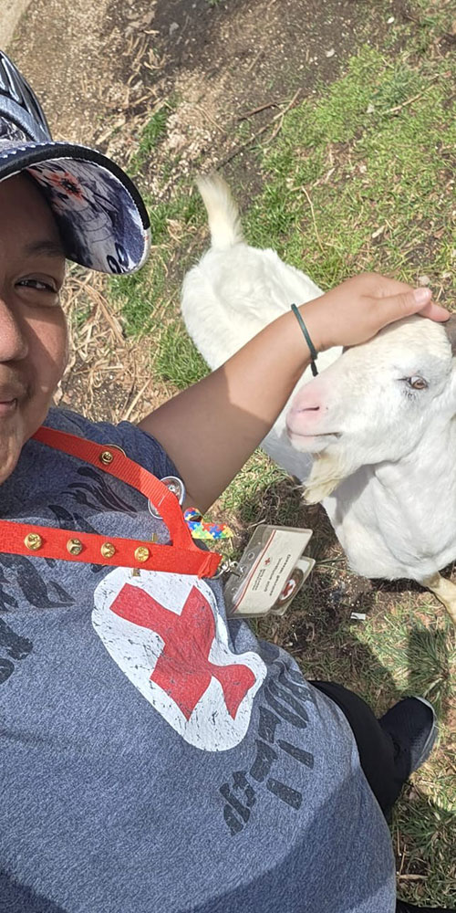 Person with a Red Cross shirt and red lanyard with pins in it pets a white goat standing on grass.