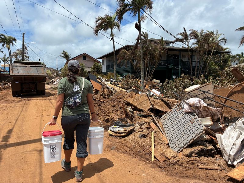 red crosser carrying supplies