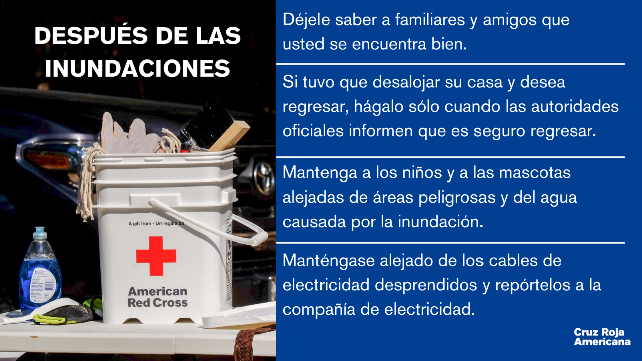 Después de las inundaciones - 1