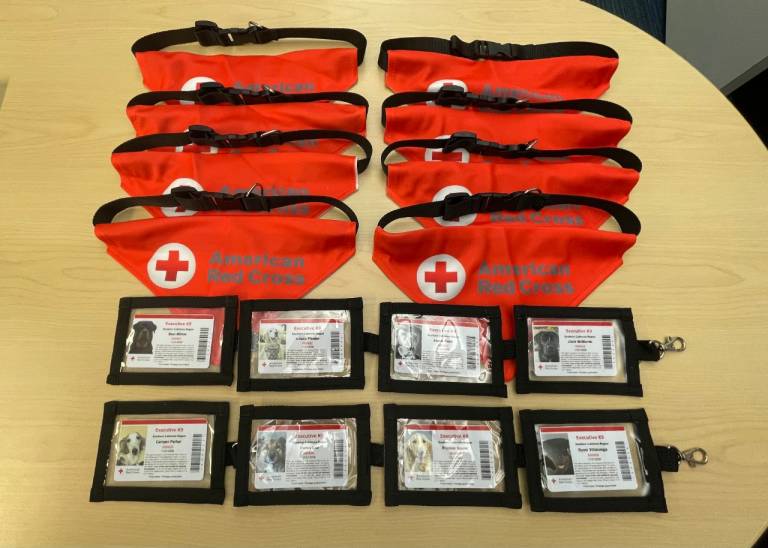 Red Cross scarves and badges for the dogs 