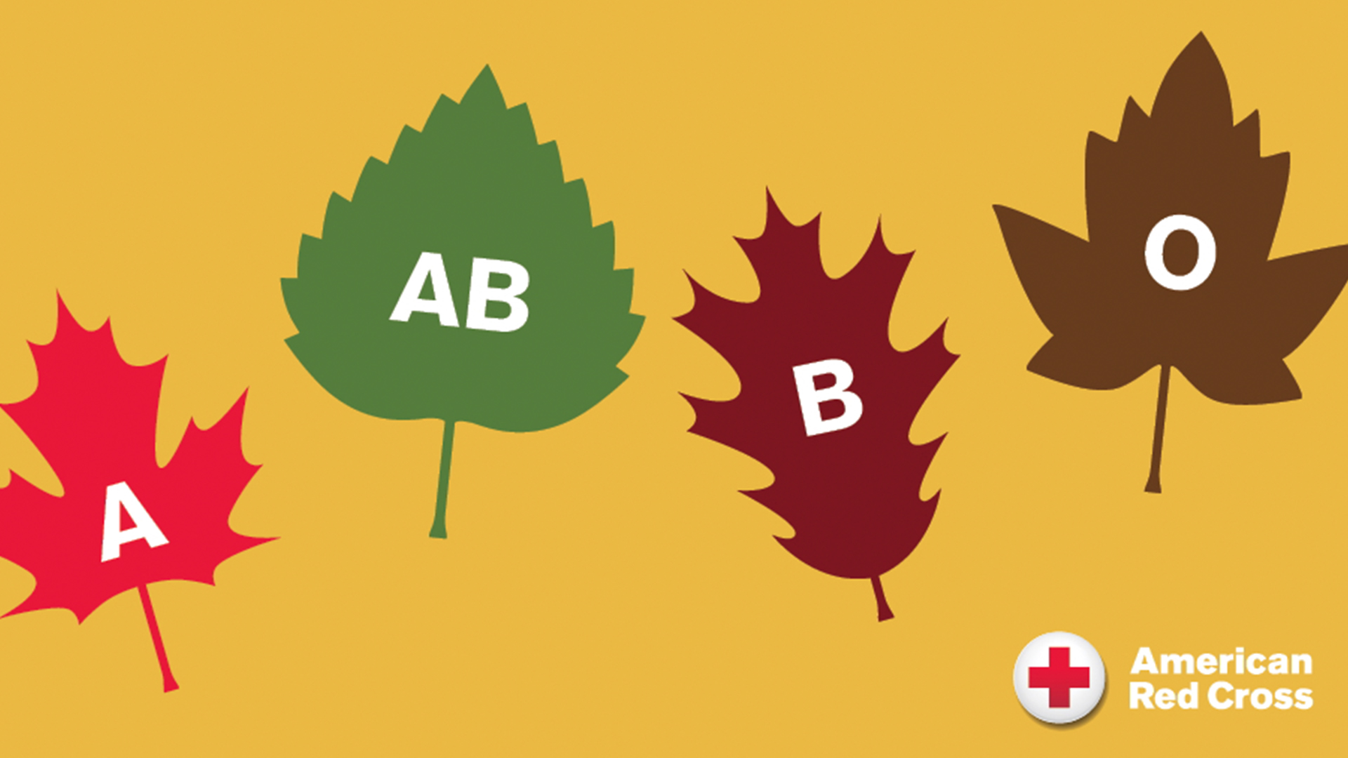 Illustration of 4 leaves with the letters A, AB, B and O on a gold background.