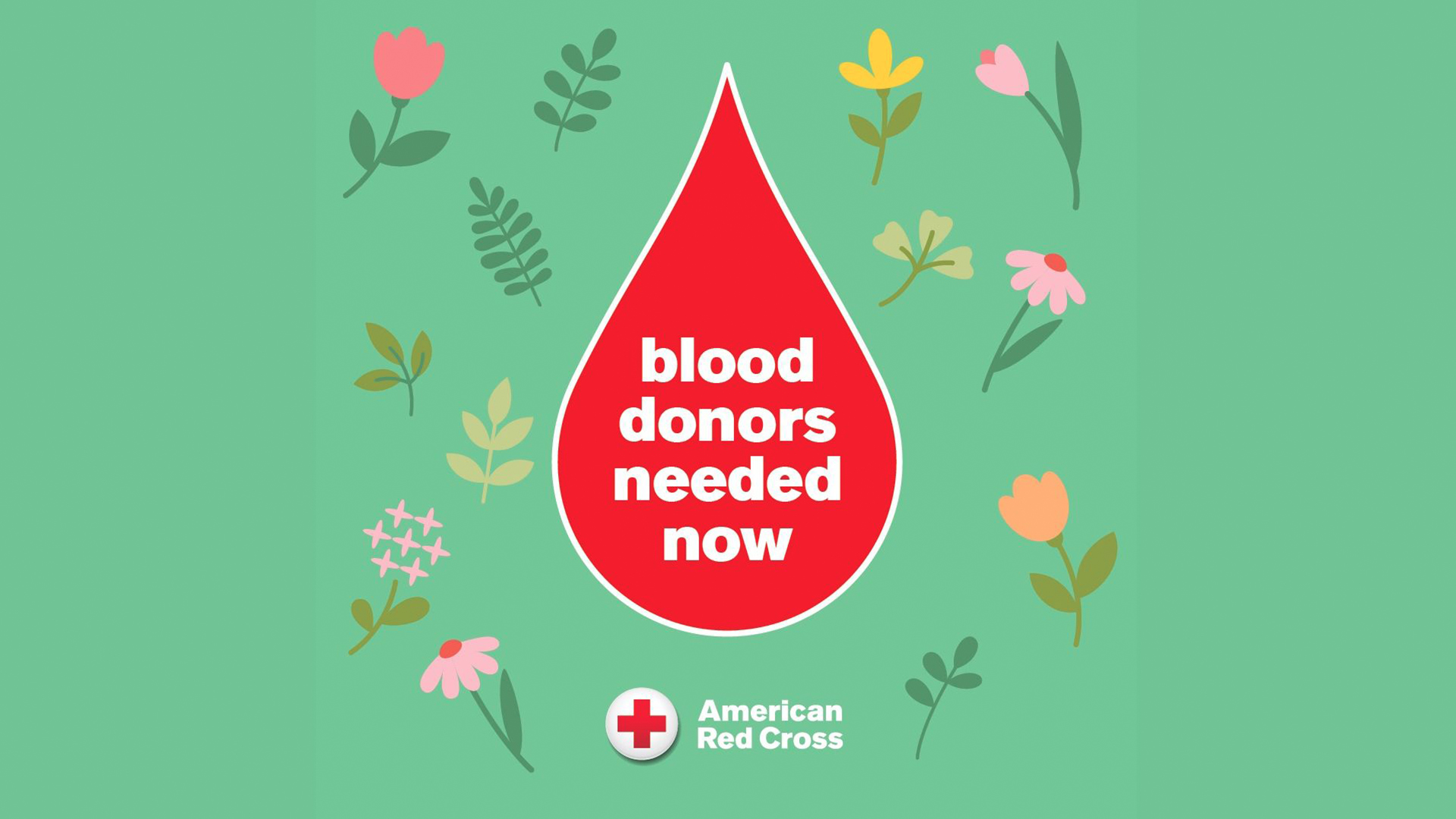 Graphic of a red blood drop with the words blood donors needed now inside of it on a green background with pink and yellow flowers.