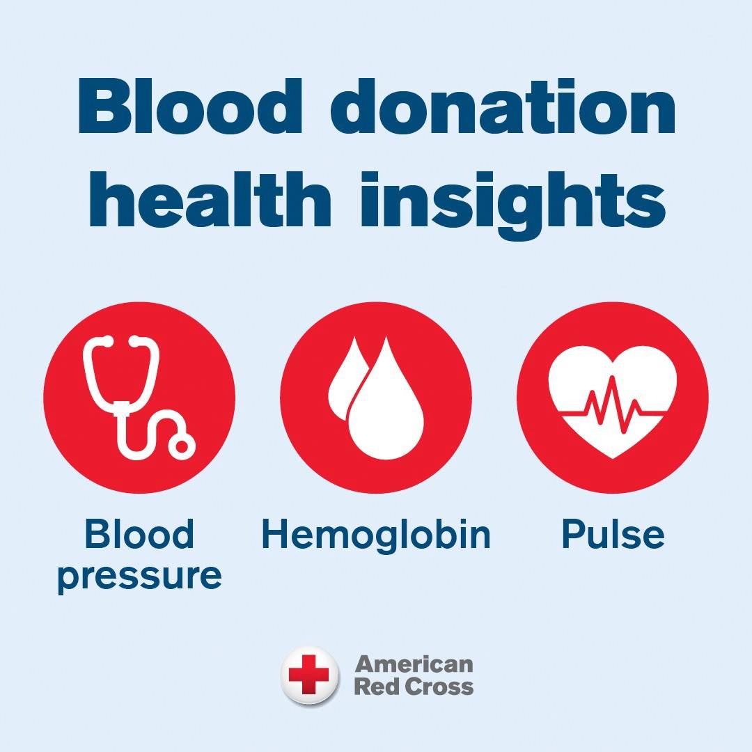 Graphic with light blue background, dark blue letters and red icons. Reads Blood Donation health insights. Blood pressure. Hemoglobin. Pulse.