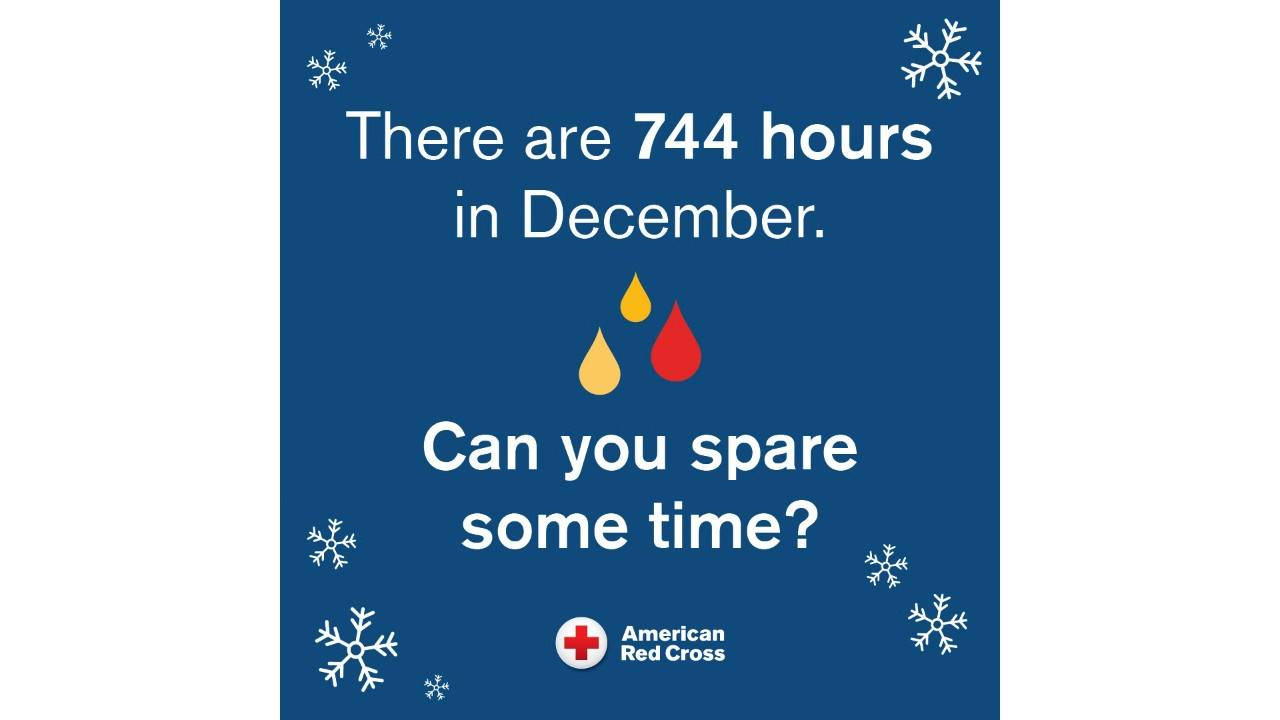Blue graphic with illustrated snowflakes and blood drops with the words There are 744 hours in December. Can you spare some time?